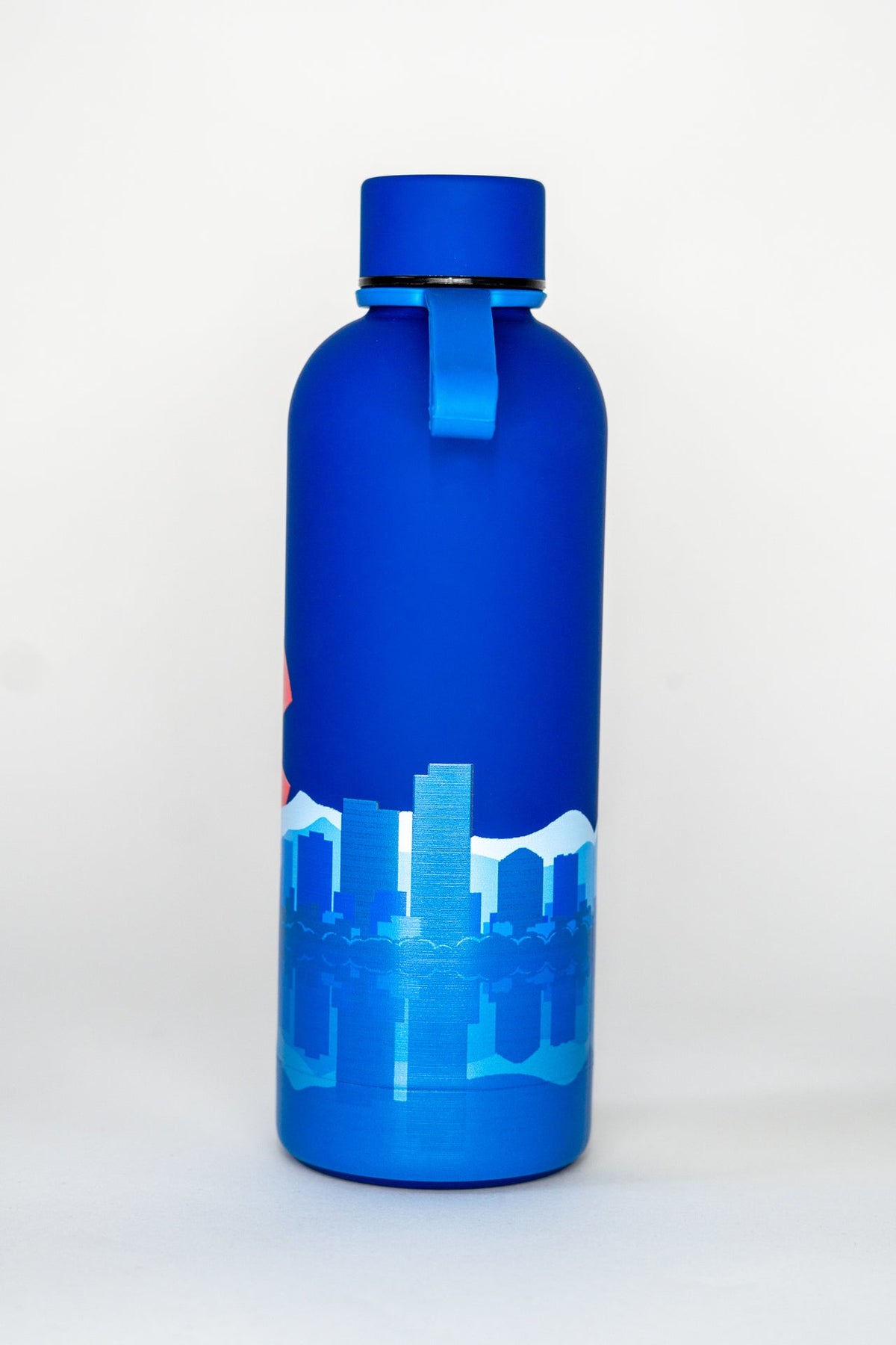 Double Walled Colorado Skyline Stainless Steel Water Bottle