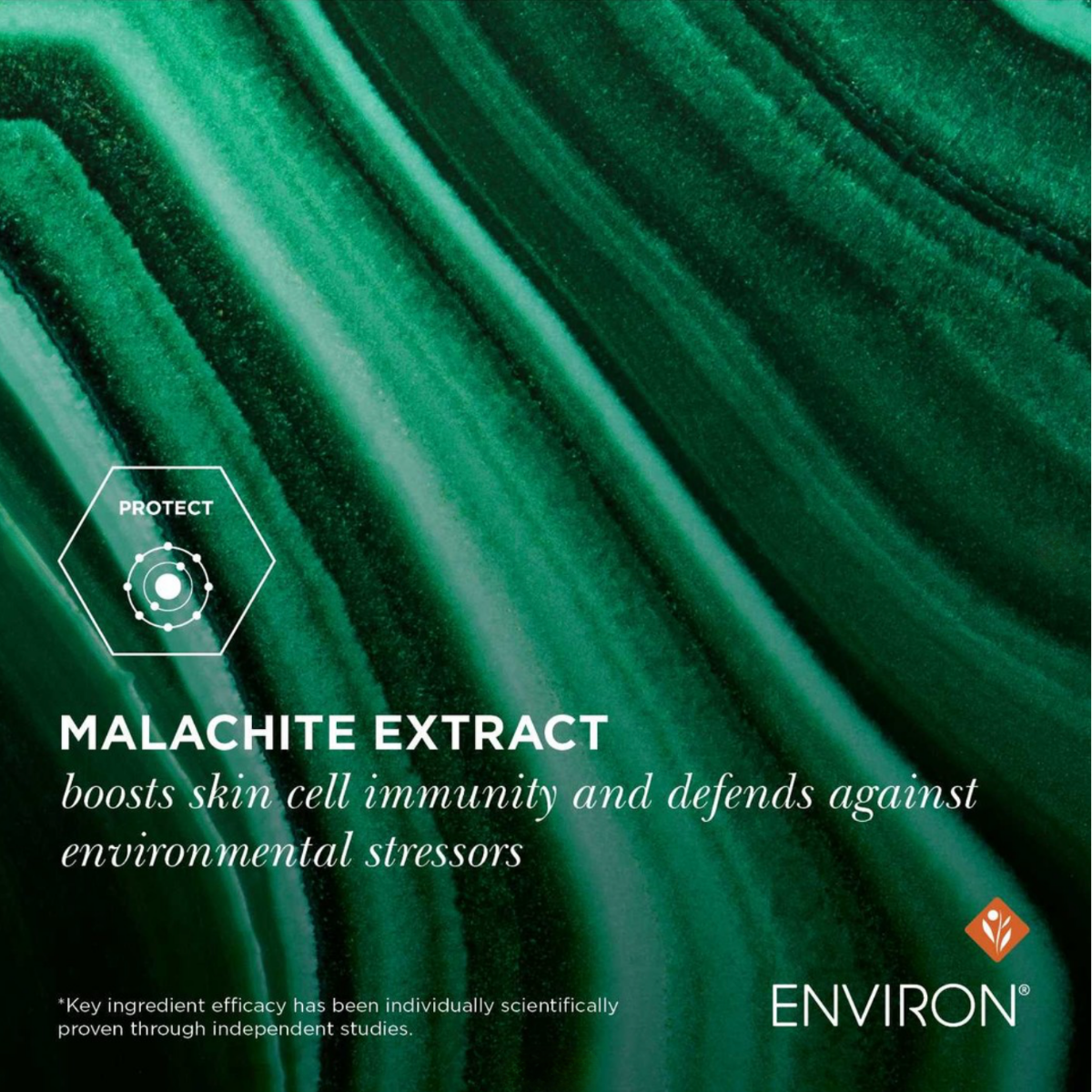 Malachite-NP Complex Seriénce Night Serum